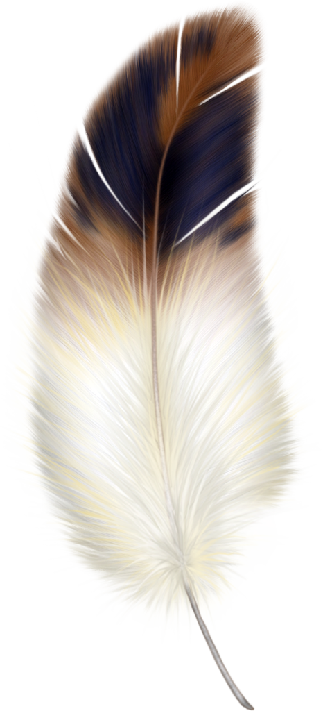 Free Feather Cliparts, Download Free Clip Art, Free Clip Art.