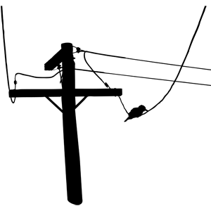 Birds on power pole clipart 20 free Cliparts | Download images on ...