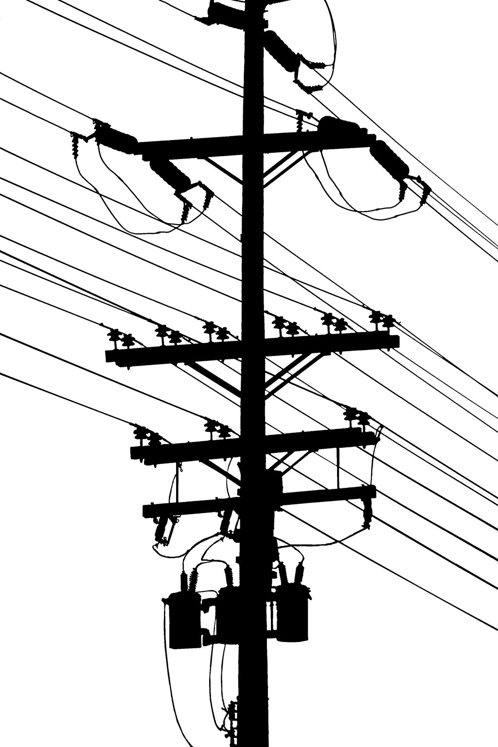 Birds on power pole clipart 20 free Cliparts Download images on