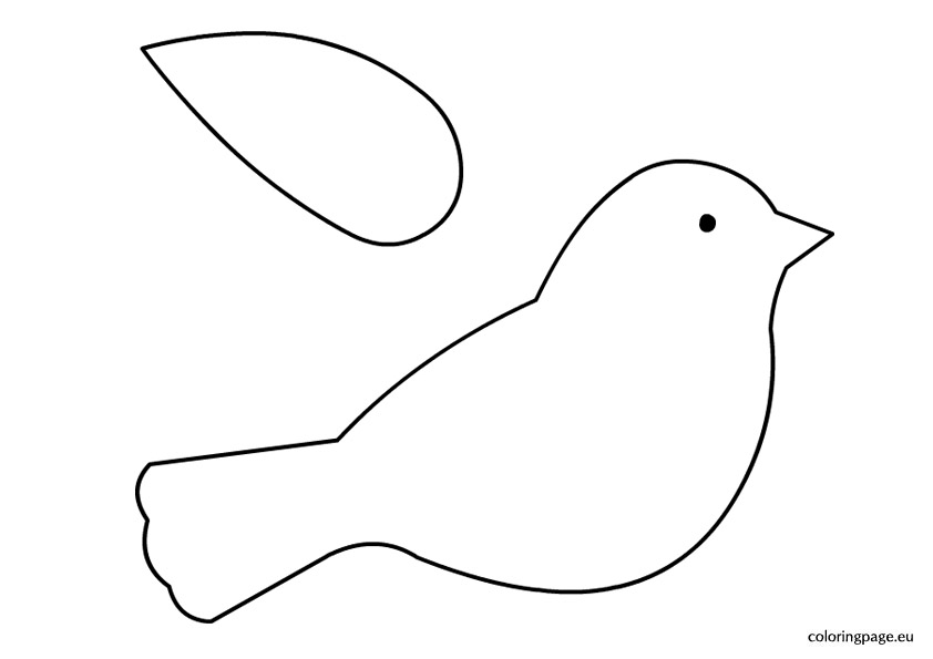 bird outline