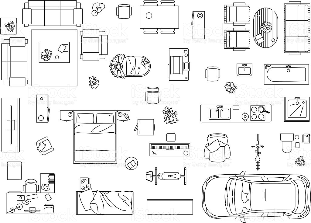 Birdseye clipart 20 free Cliparts | Download images on Clipground 2022