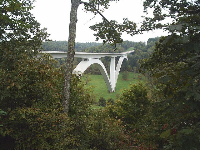 1000+ images about Natchez Mississippi on Pinterest.