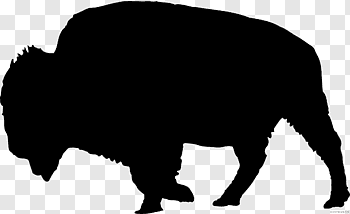 American Bison cutout PNG & clipart images.