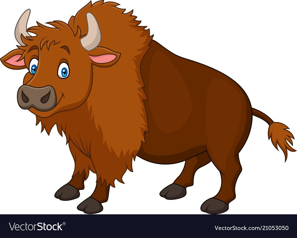 Bison Clipart.