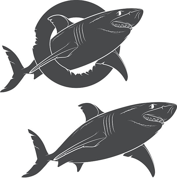 Free Free 205 Shark Bite Mark Svg SVG PNG EPS DXF File