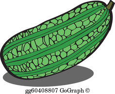 Bitter gourd clipart 20 free Cliparts | Download images on Clipground 2021