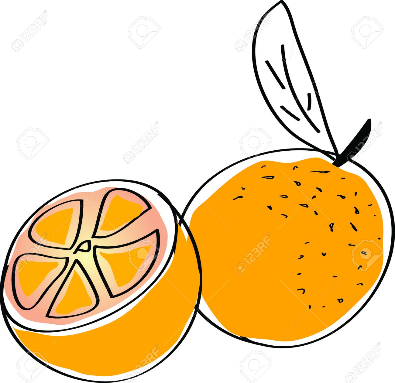 Эскиз апельсина документ