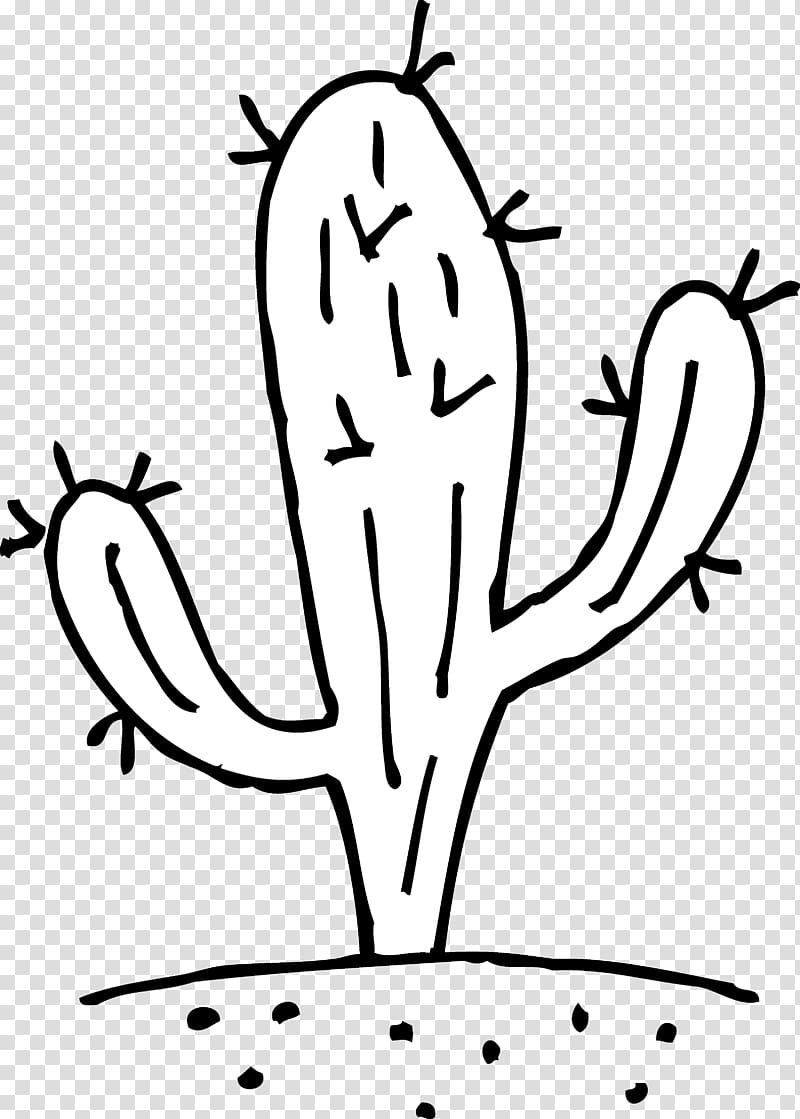 Cactaceae Black and white Saguaro , Cactus For Kids.