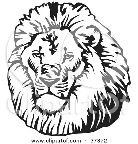 free lioness head clipart black and white 20 free Cliparts | Download