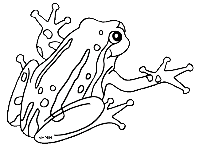 Black amphibians clipart 20 free Cliparts | Download images on ...