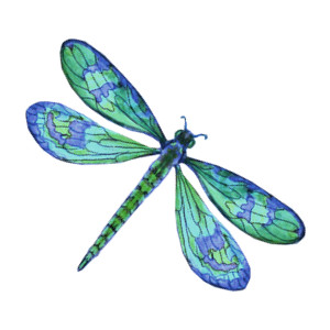 Blue dragonfly clipart.