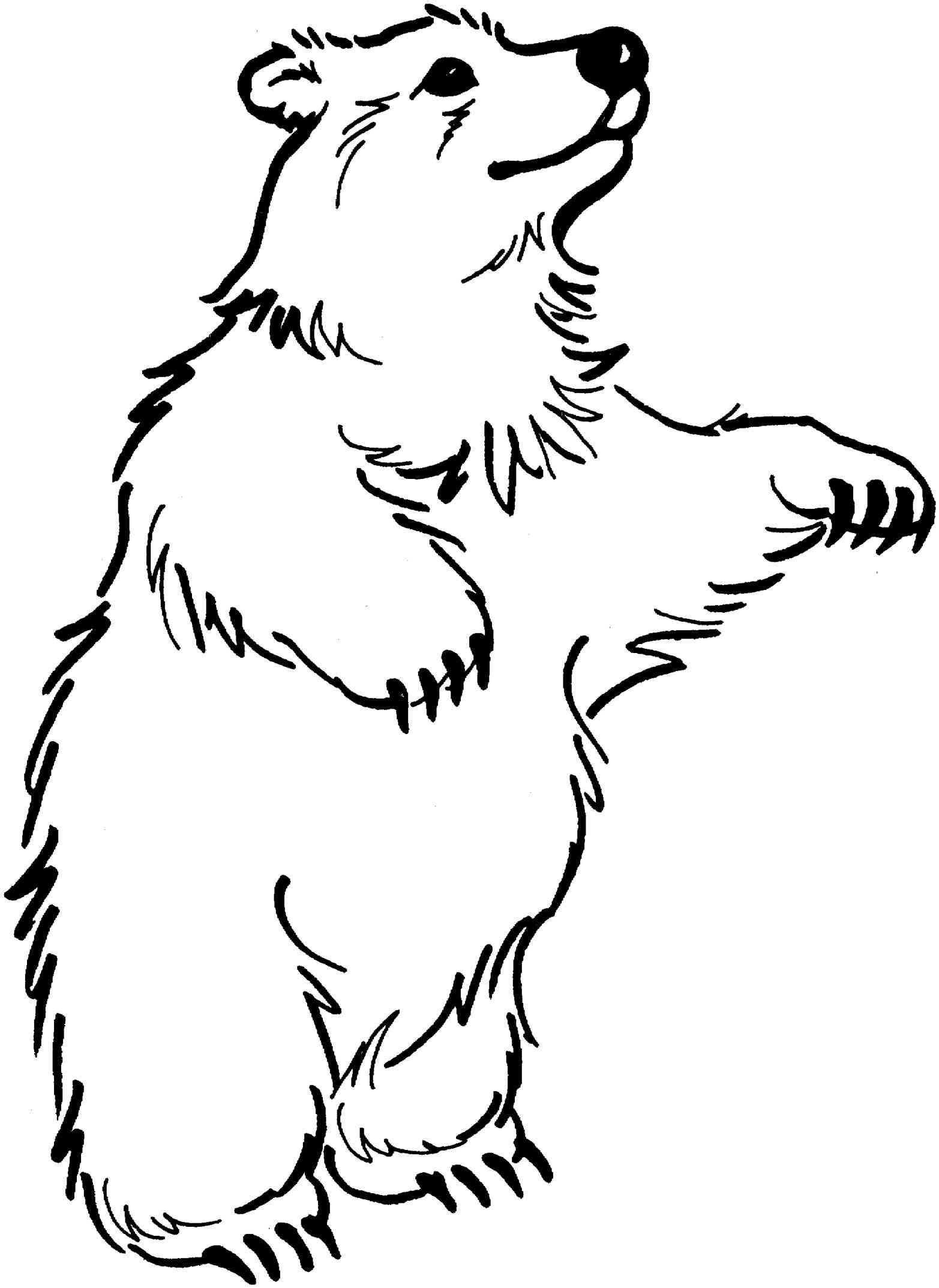 black and white bear clipart 20 free Cliparts Download images on