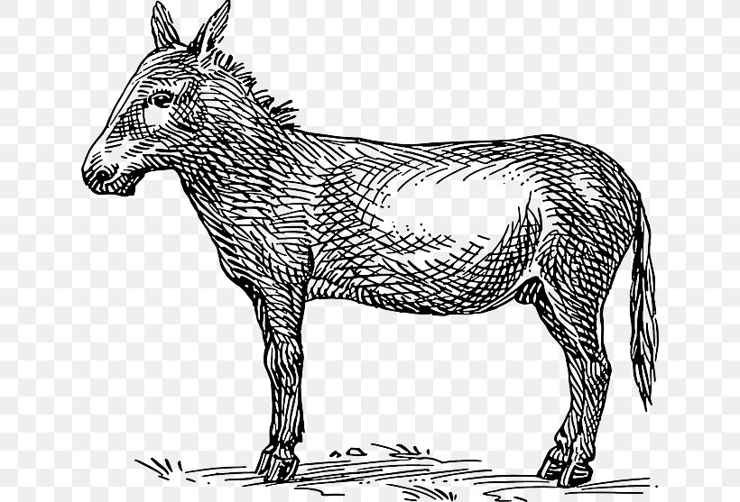 Mule Donkey Clip Art, PNG, 640x557px, Mule, Animal Figure.