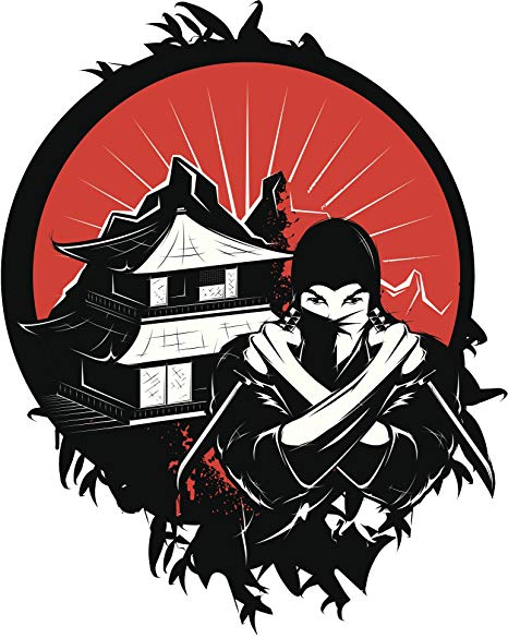 Amazon.com: Black and Red Ninja Assasin Icon Vinyl Decal.
