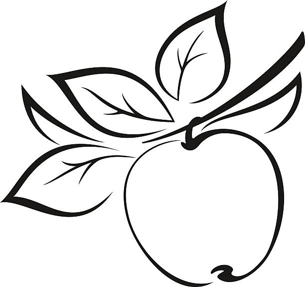 Best Black And White Apple Illustrations, Royalty.