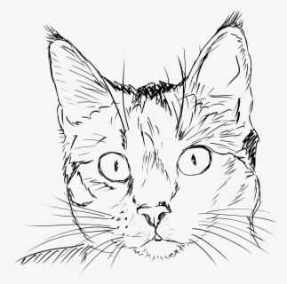 Free Cat Face Black And White Clip Art with No Background.