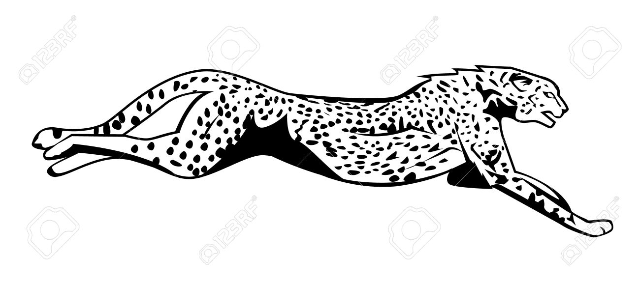 Cheetah clipart black and white 5 » Clipart Station.