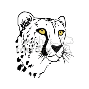 Black and white cheetah with vibrant yellow eyes clipart. Royalty.
