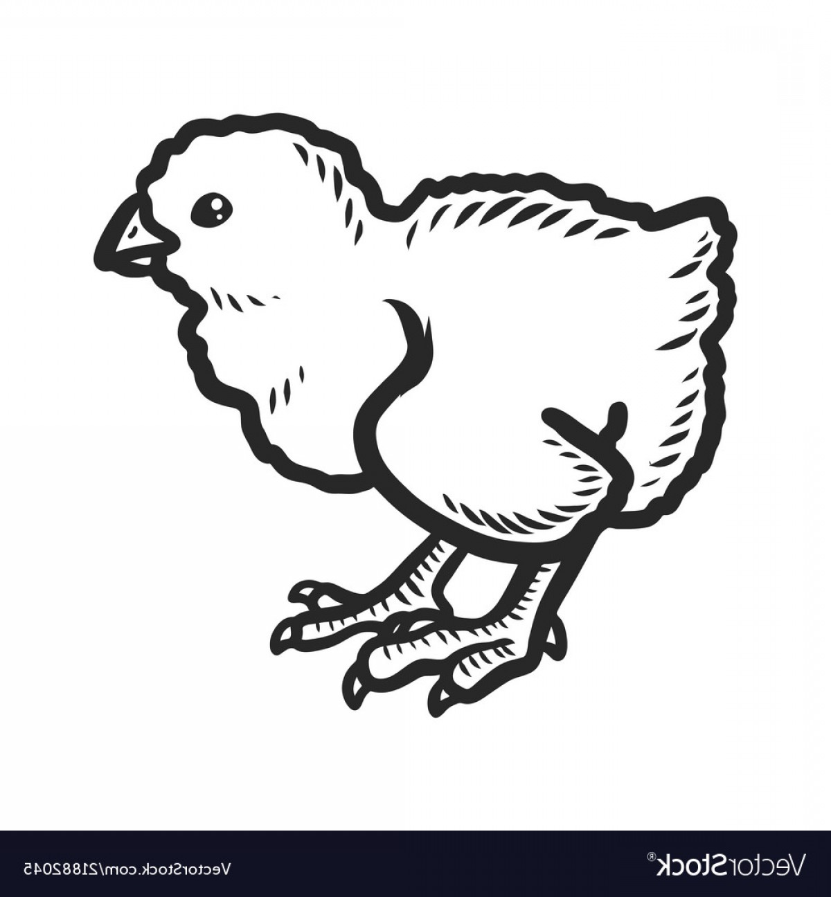 Chick Icon Hand Drawn Style Vector.