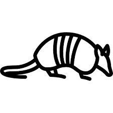 Image result for armadillo black and white clipart.
