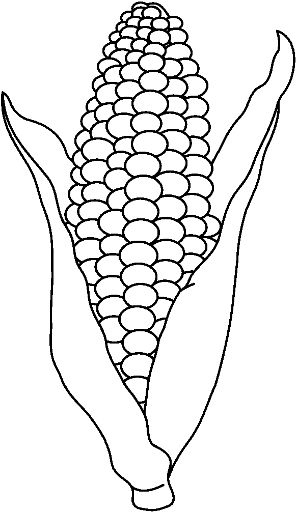 Corn On Cob Clip Art Black And White