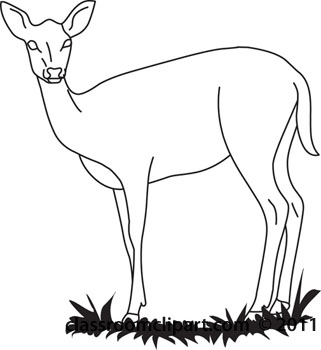 Black and white clipart of wild game.