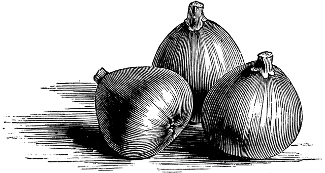Free Figs Cliparts, Download Free Clip Art, Free Clip Art on.