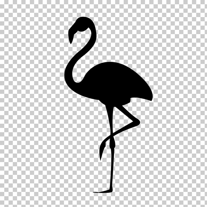 black and white flamingo clipart