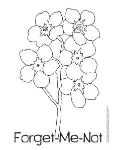 clipart forget me not flowers.