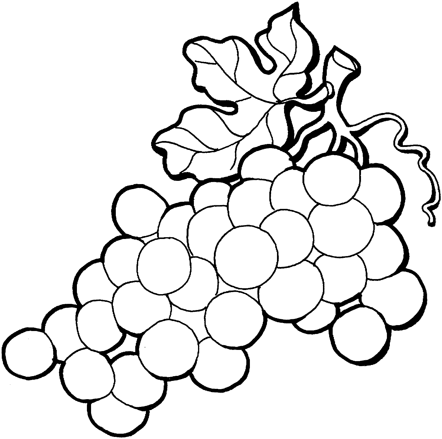 Free Black And White Grapes, Download Free Clip Art, Free.