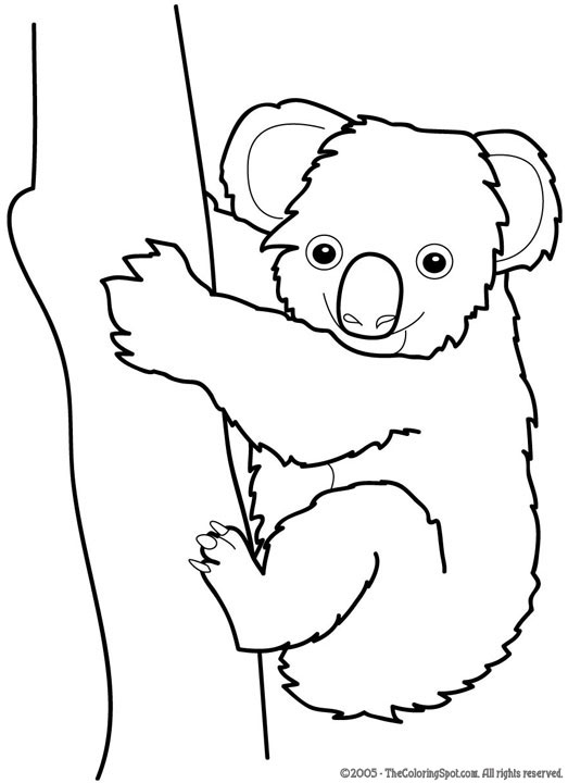 Koala clipart black and white 4 » Clipart Station.