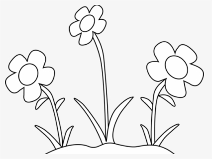 Free White Flower Clip Art with No Background.