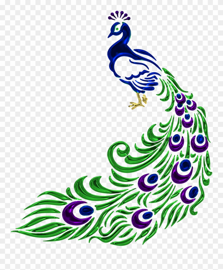 peacock clipart easy 10 free Cliparts | Download images on Clipground 2021