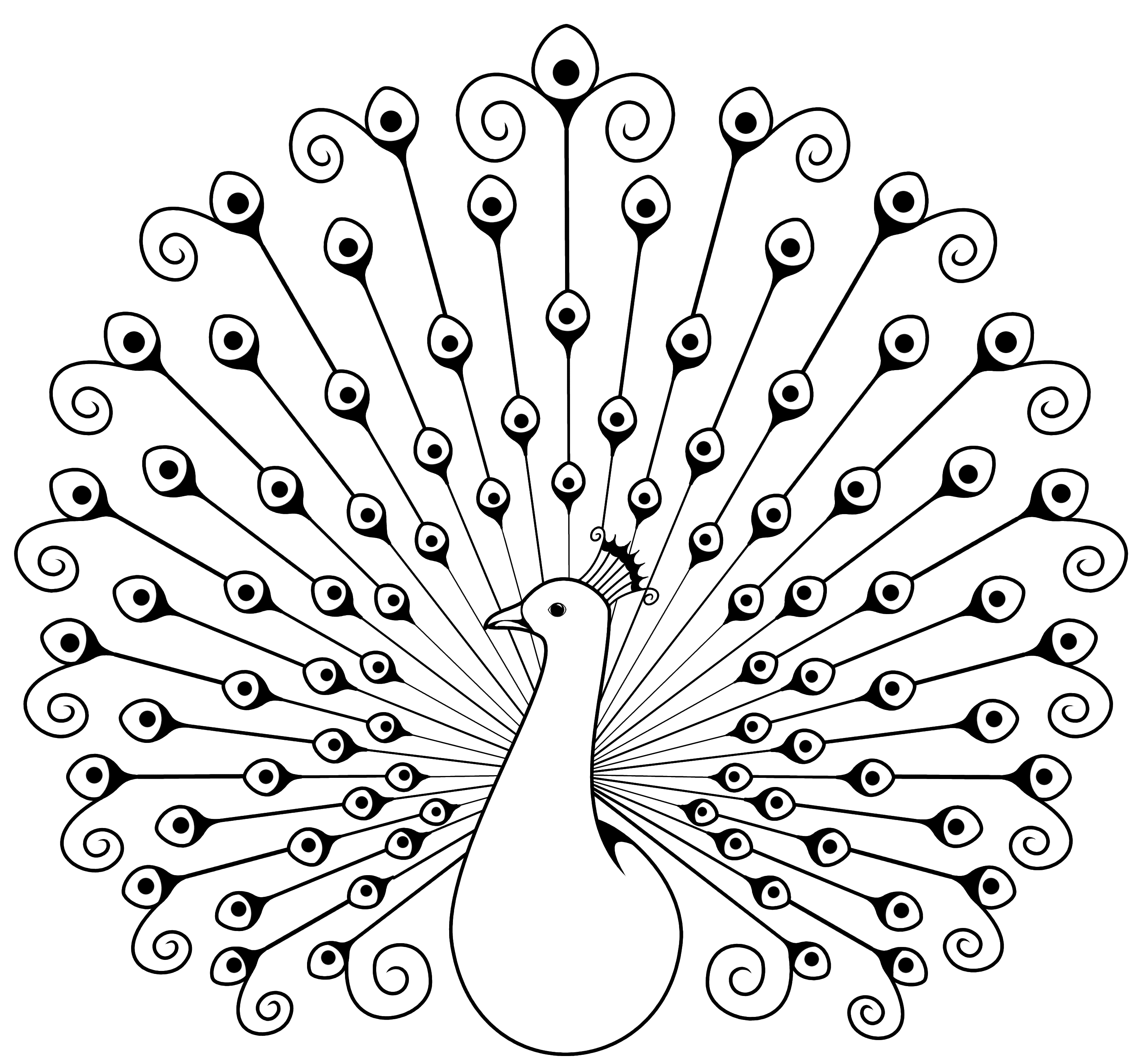Peacock Clipart Images Black And White.