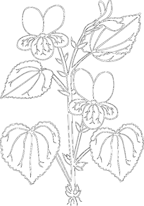 black and white clipart plants 10 free Cliparts | Download images on