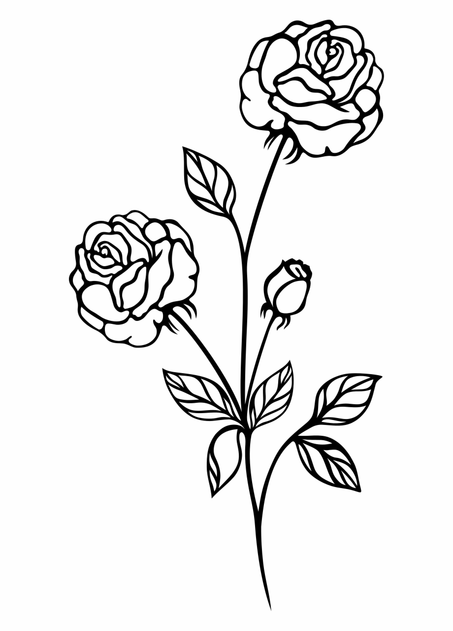 black and white clipart rose 20 free Cliparts | Download images on ...