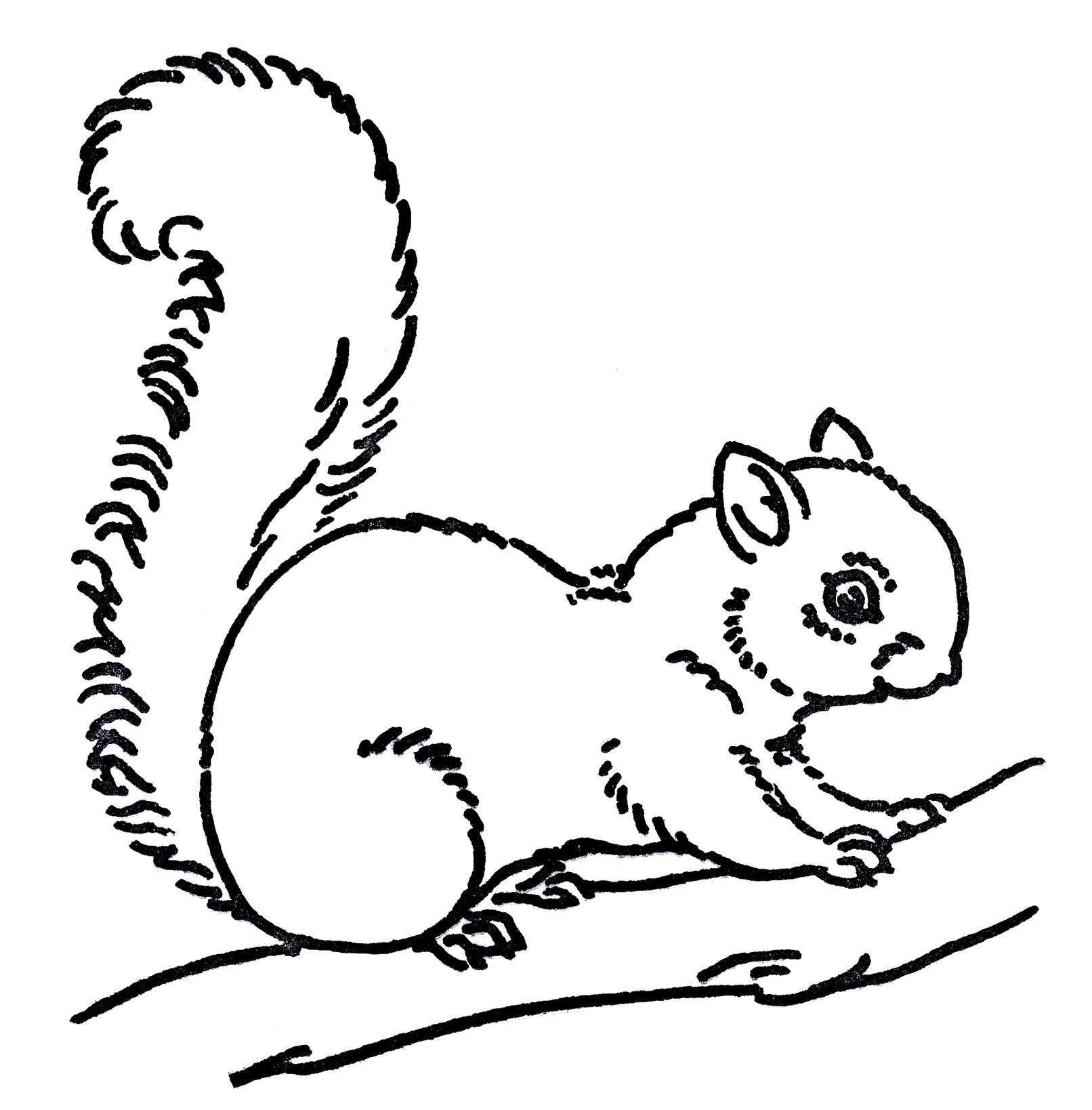 Free Black And White Squirrel Clipart, Download Free Clip.