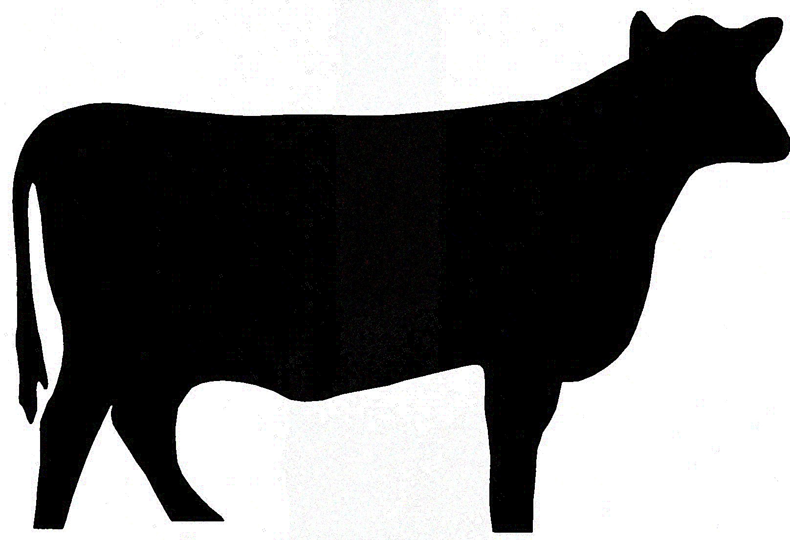 Free Steer Cliparts, Download Free Clip Art, Free Clip Art.