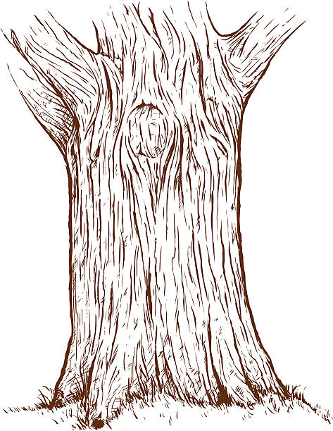 Tree Trunk Clipart Black And White.