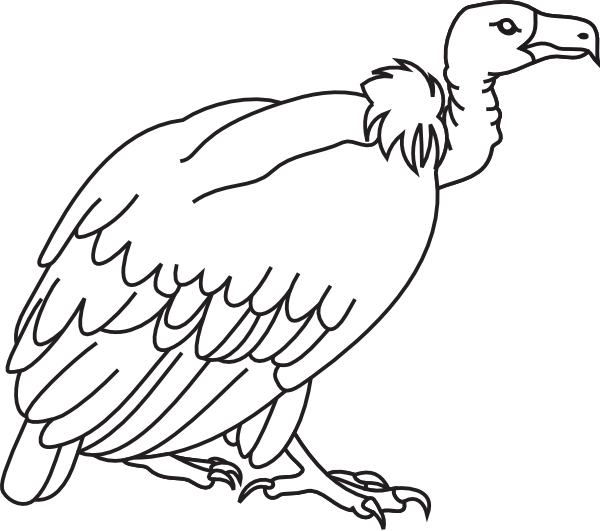 Vulture Clipart Clip Art.