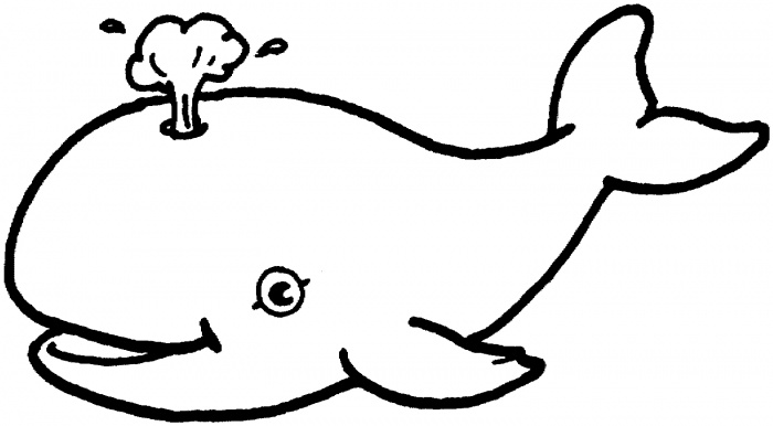 Whale Outline Drawing at GetDrawings.com.