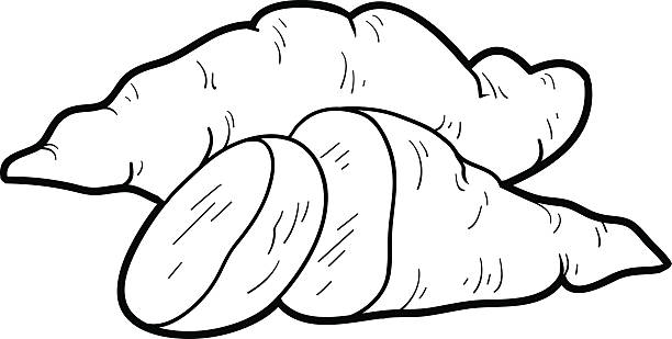 Yam Clipart Black And White.