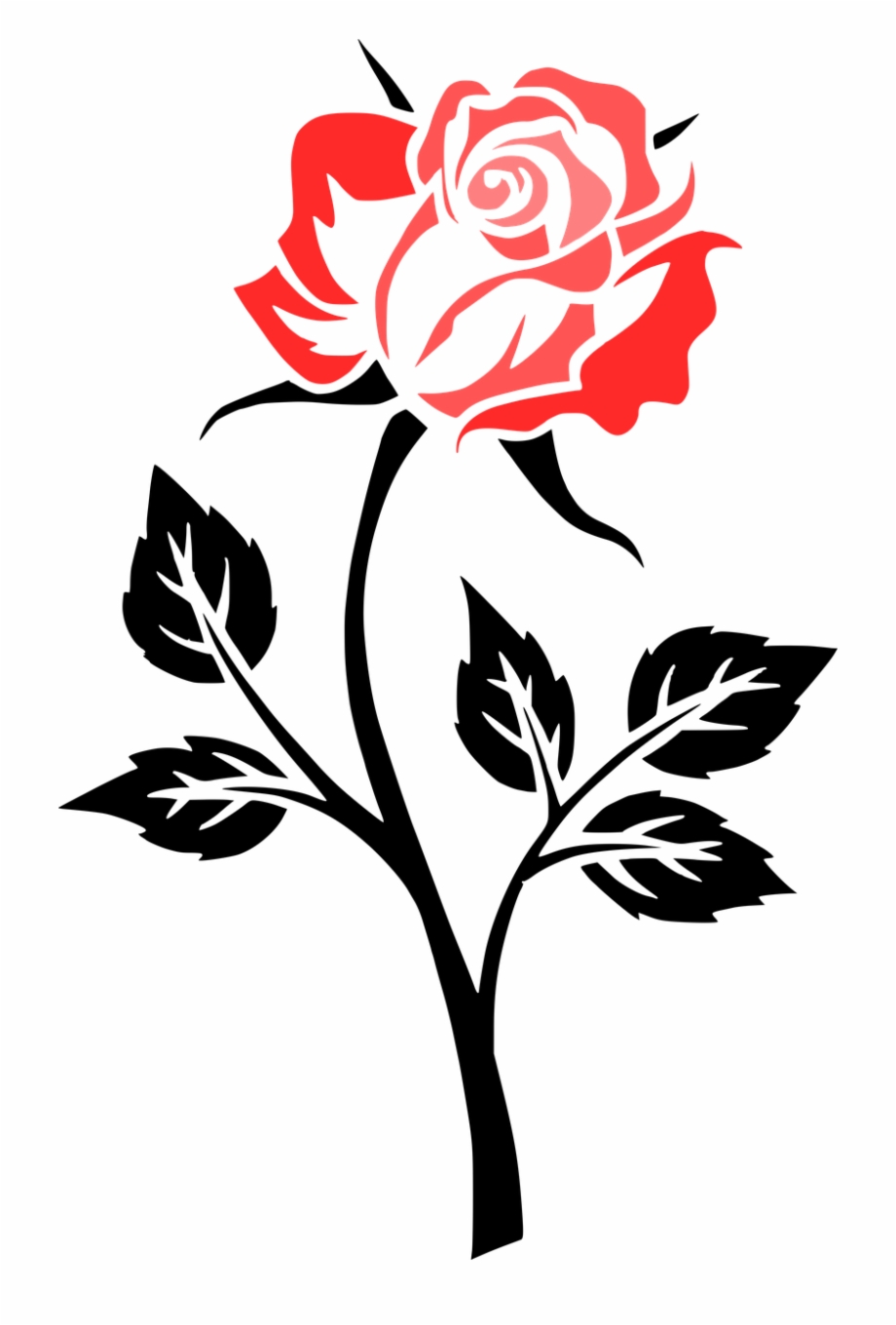 Flower Rose Contour Outlines Png Image.