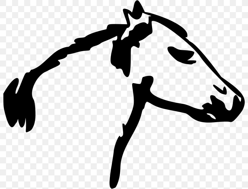 Mustang Draft Horse Clip Art, PNG, 800x625px, Mustang, Black.