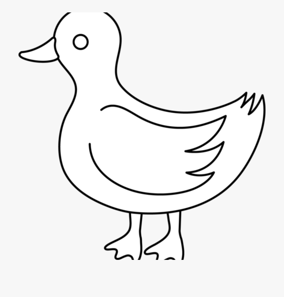Duck Clipart Black And White Duck Clip Art Black And.