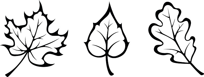 Clipart Fall Leaves Black And White.