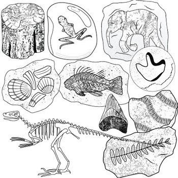 Fossils Clip Art II.