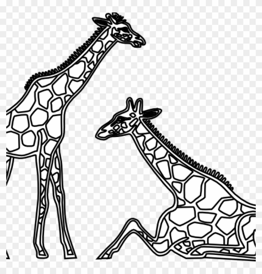 Giraffe Clipart Black And White Giraffe Clipart Black.