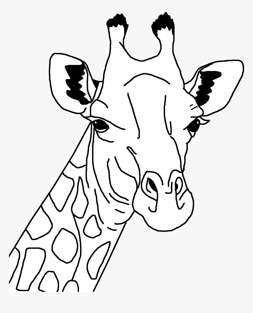 Giraffe Line Art Clip Arts.