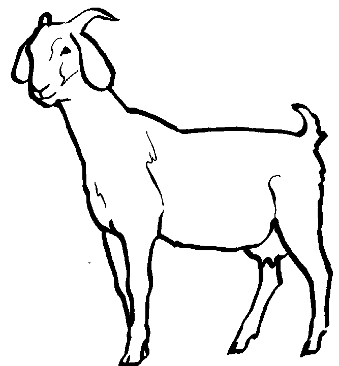 Free Black And White Baby Goat, Download Free Clip Art, Free.